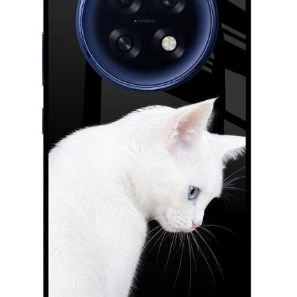 Snow Gaze Oppo F31 Pro Plus 5G Glass Case