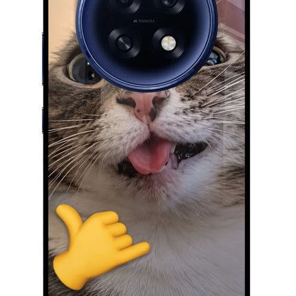 Silly Cat Call Oppo F31 Pro Plus 5G Glass Case