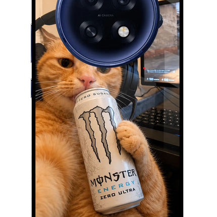 Gamer Cat Energy Oppo F31 Pro Plus 5G Glass Case