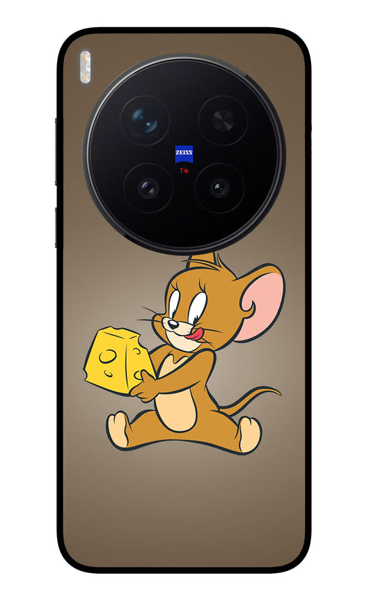 Jerry Vivo X300 Pro Glass Case