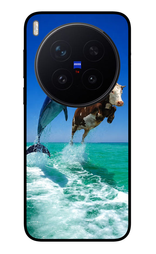 Dolphin vs Cow Vivo X300 Pro Glass Case
