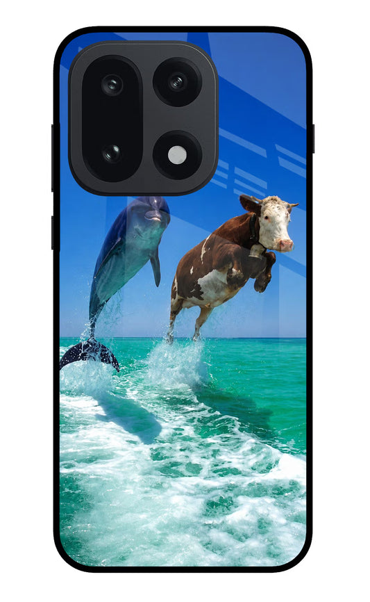 Dolphin vs Cow OnePlus 15 Glass Case