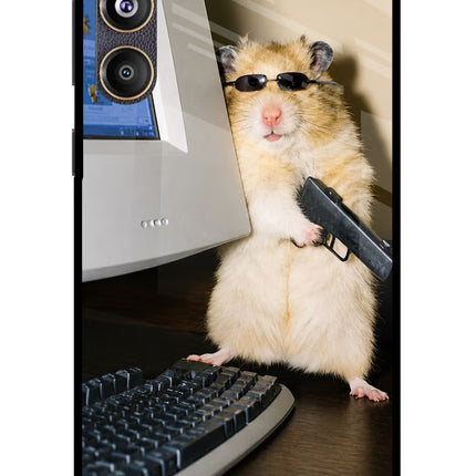 Hacker Hamster Samsung F55 5G Glass Case Back Cover by Casekaro