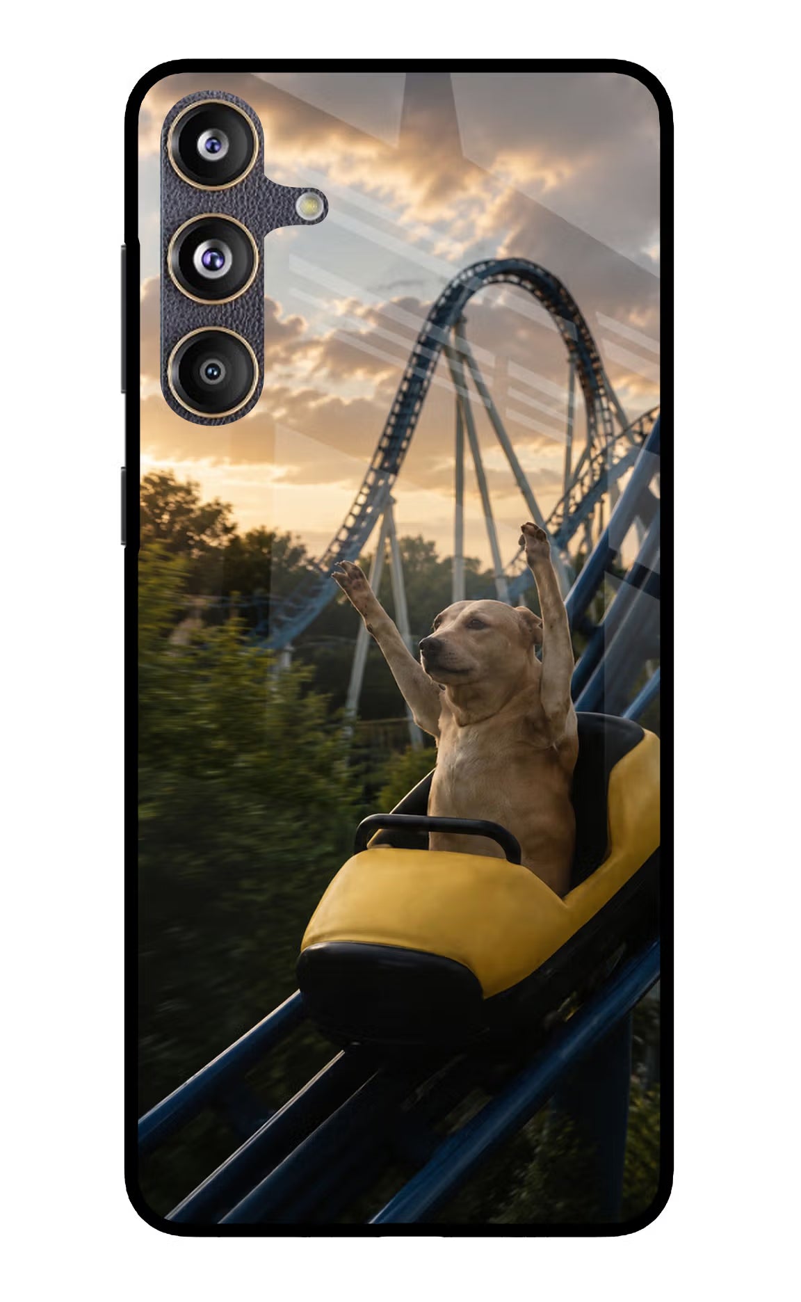 Rollercoaster Dog Samsung F55 5G Glass Case