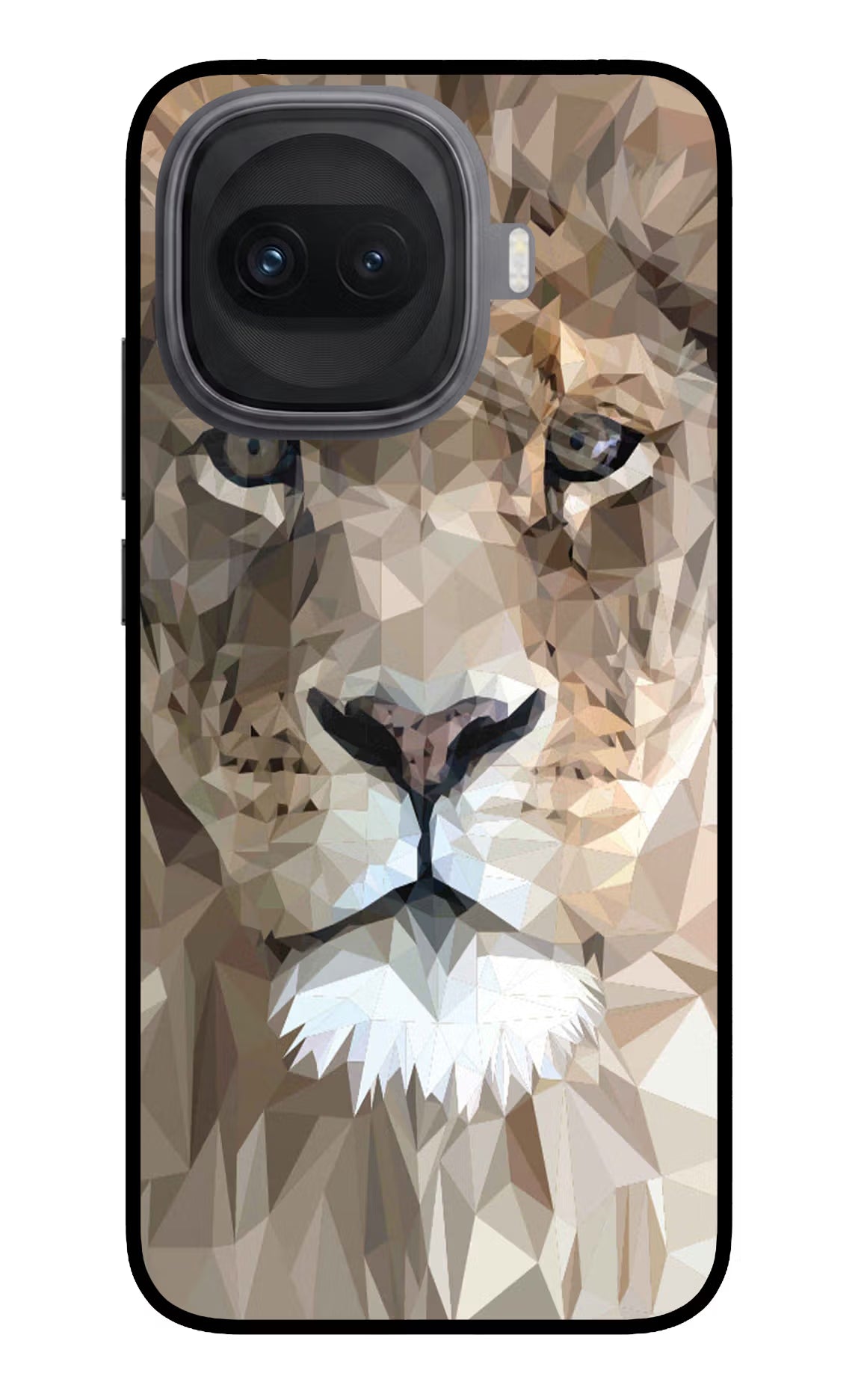 Lion Art iQOO 15R 5G Glass Case