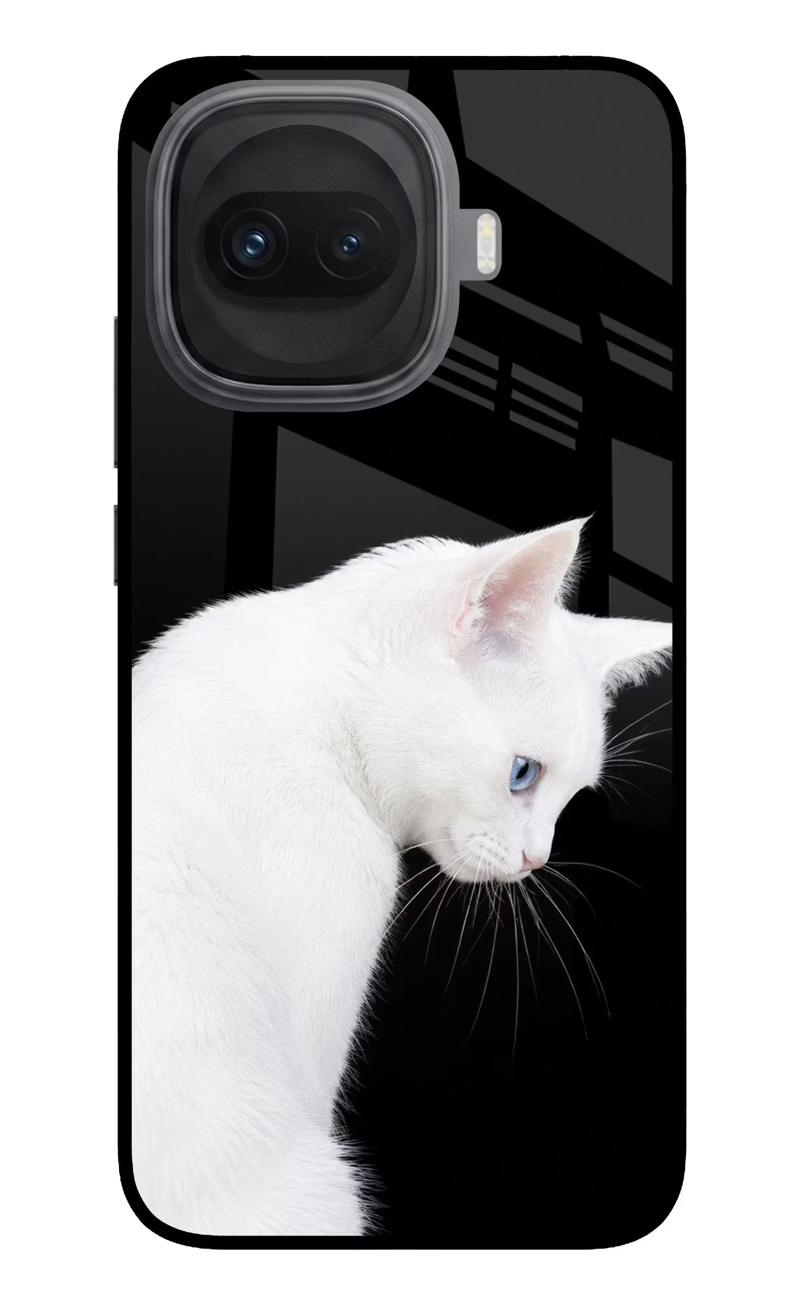 Snow Gaze iQOO 15R 5G Glass Case