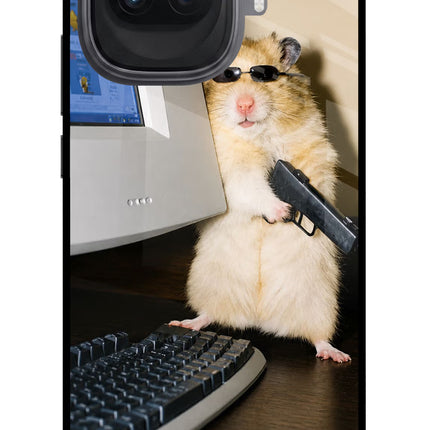 Hacker Hamster iQOO 15R 5G Glass Case