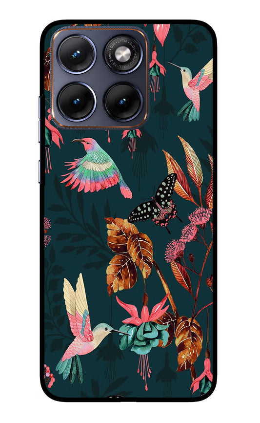 Birds Moto Edge 70 Fusion Glass Case