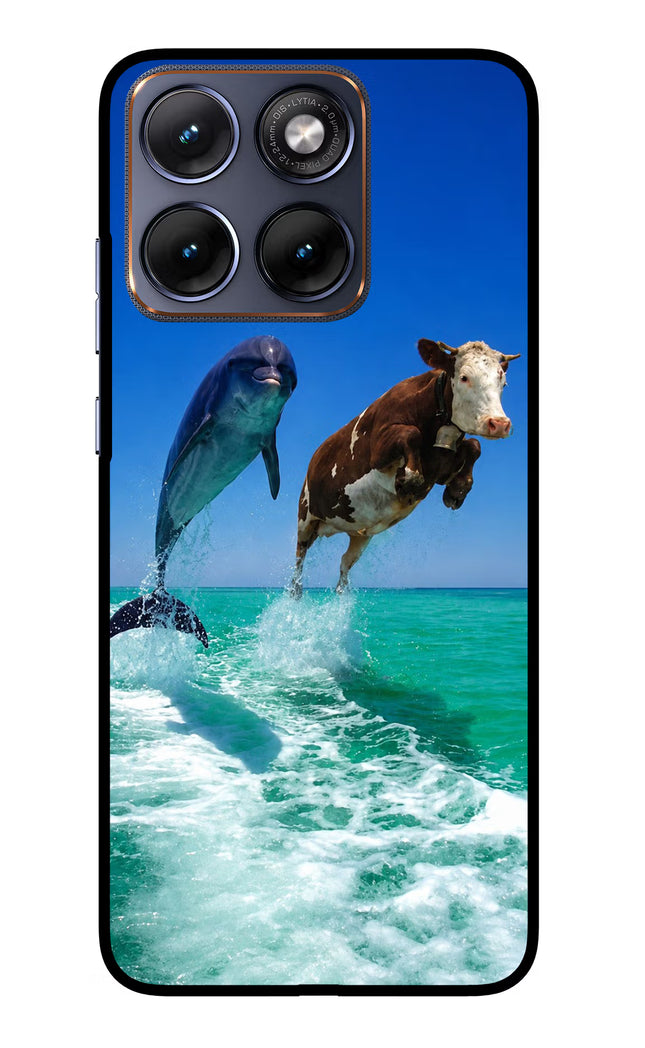 Dolphin vs Cow Moto Edge 70 Fusion Glass Case