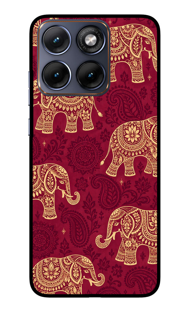 Maroon Elephant Moto Edge 70 Fusion Glass Case Back Cover by Casekaro