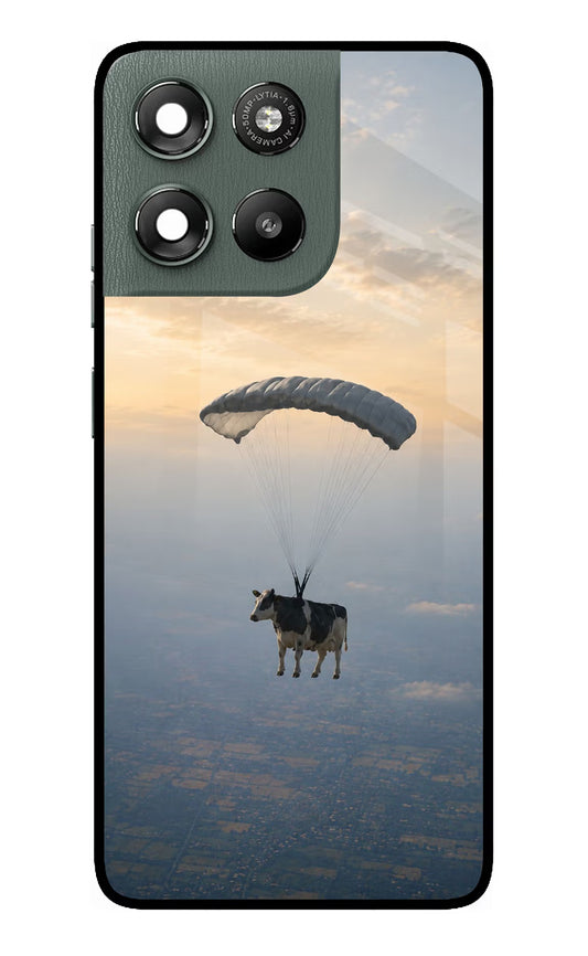 Skydiving Cow Moto G67 Power 5G Glass Case