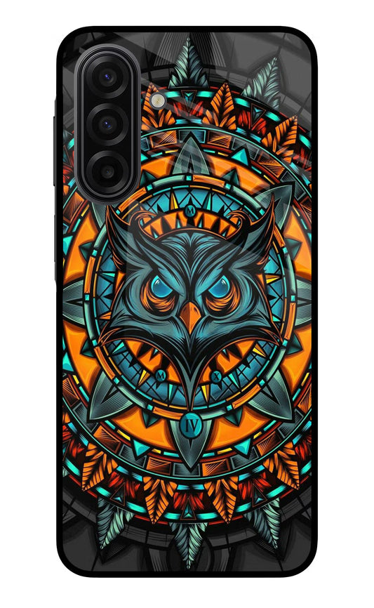 Angry Owl Art Samsung F17 5G Glass Case