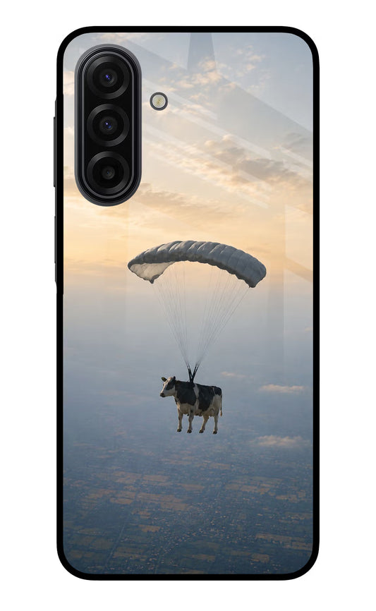 Skydiving Cow Samsung F17 5G Glass Case