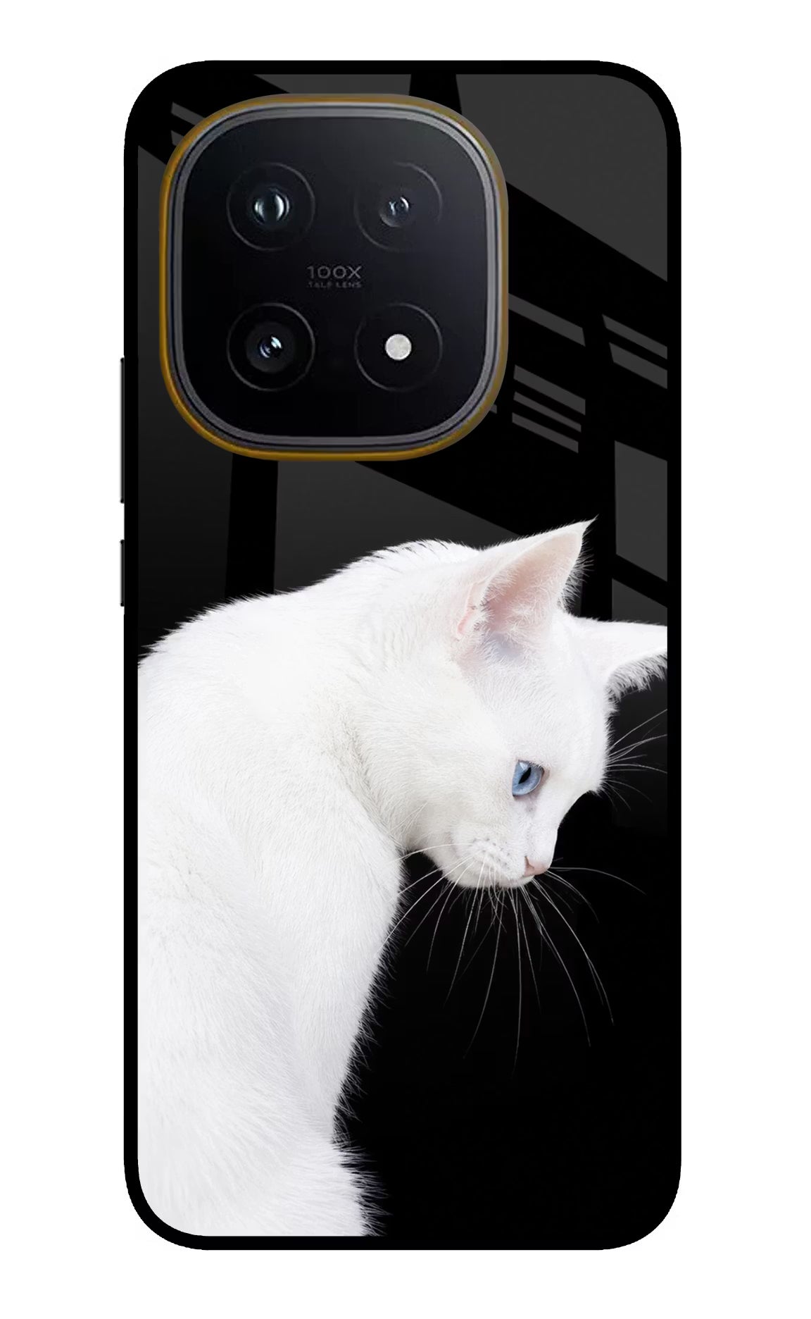 Snow Gaze iQOO 15 5G Glass Case