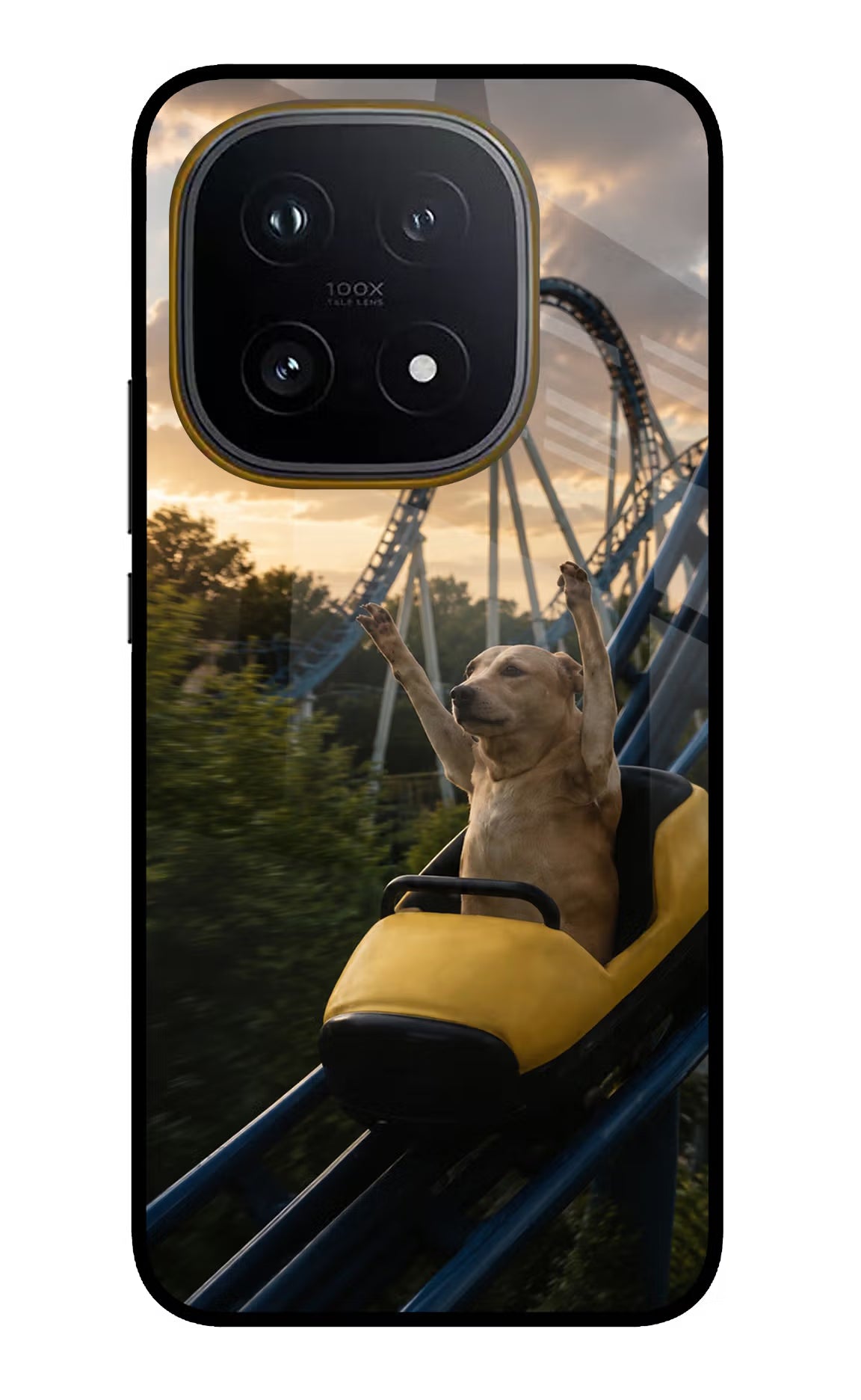 Rollercoaster Dog iQOO 15 5G Glass Case