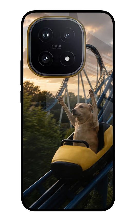 Rollercoaster Dog iQOO 15 5G Glass Case