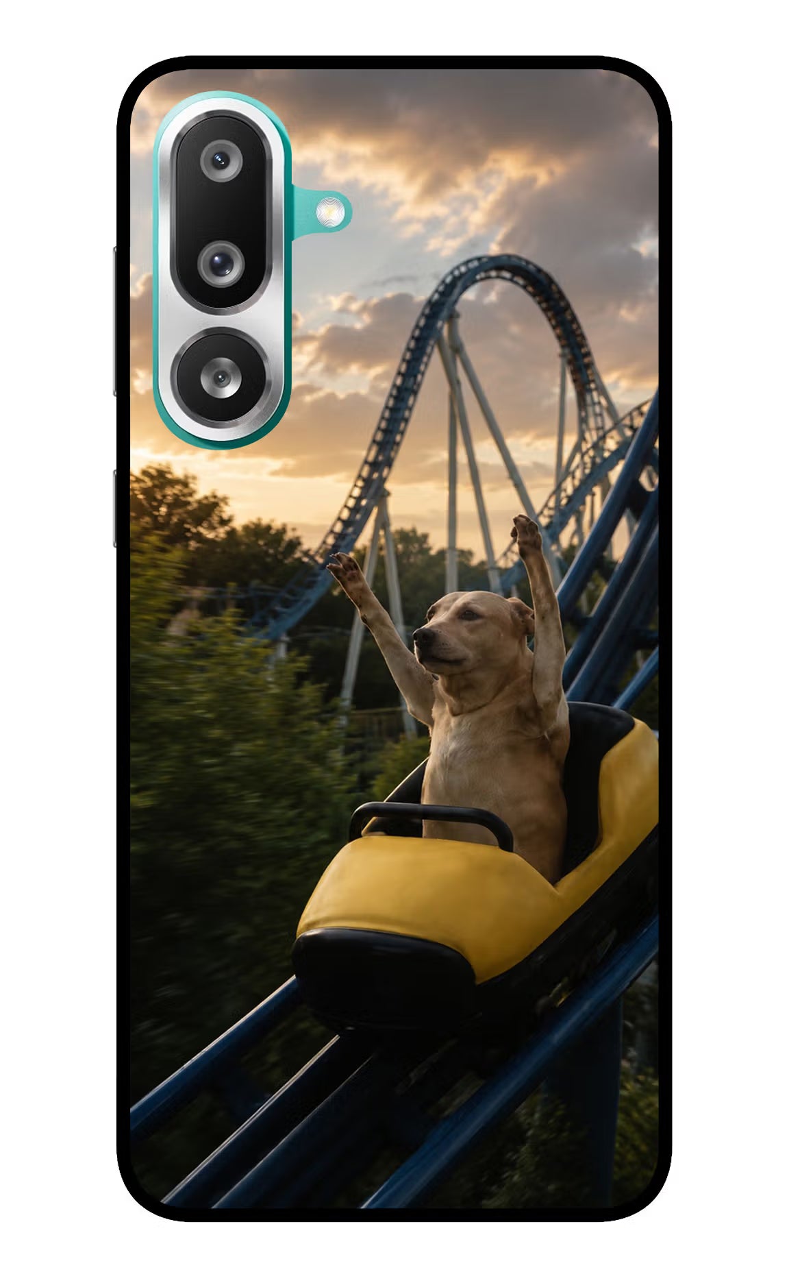 Rollercoaster Dog Samsung F56 Glass Case