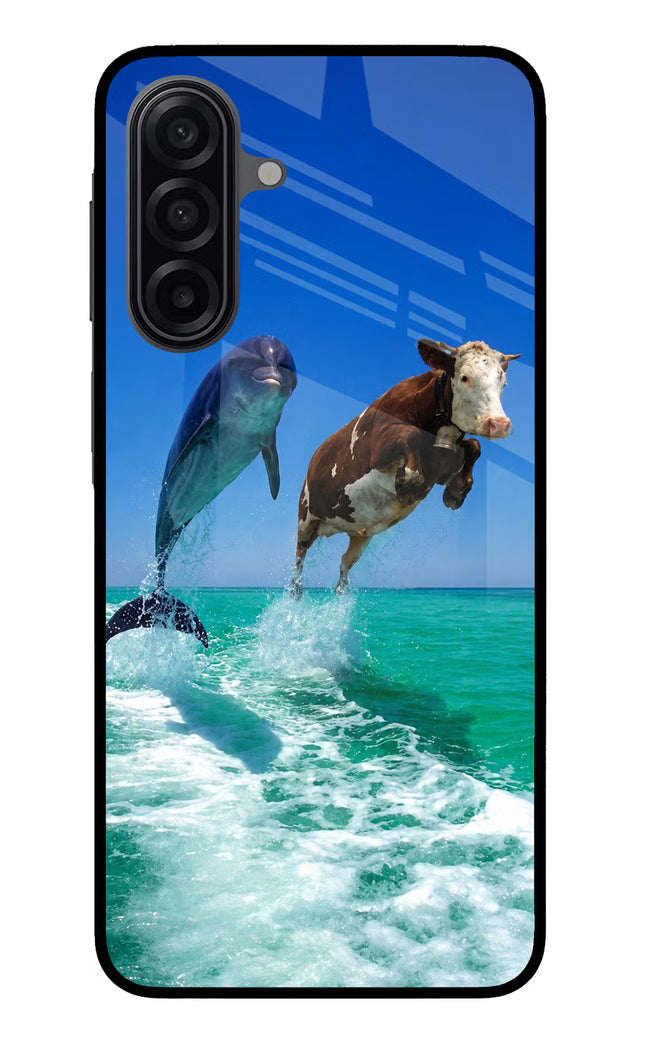Dolphin vs Cow Samsung M17 5G Glass Case Back Cover by Casekaro