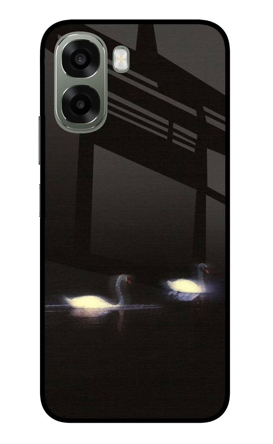 Silent Swans Oppo A6x 5G Back Cover, Glass case
