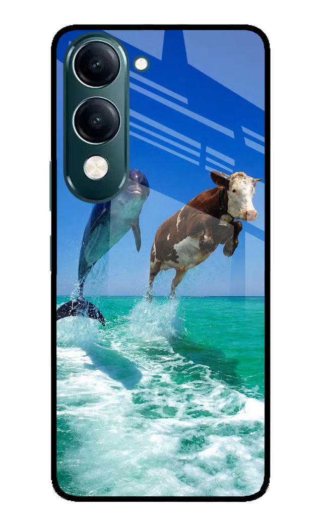 Dolphin vs Cow iQOO Z10 Lite 5G Glass Case Back Cover by Casekaro
