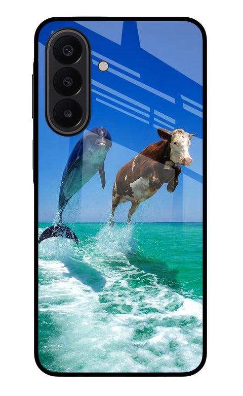 Dolphin vs Cow Samsung A27 5G Back Cover