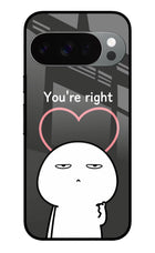 You're Right Google Pixel 10 Pro Glass Case