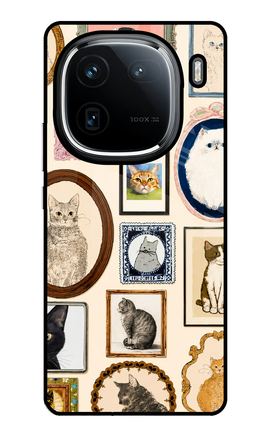 Mirror Cats iQOO 12 5G Back Cover, Glass case
