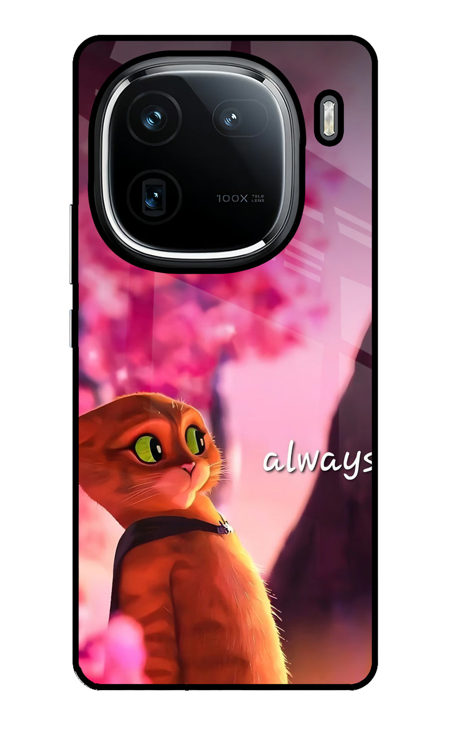 Always Cat iQOO 12 5G Back Cover, Glass case