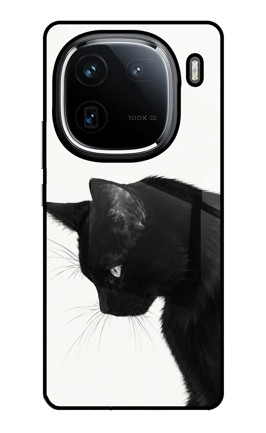 Shadow Gaze iQOO 12 5G Back Cover, Glass case