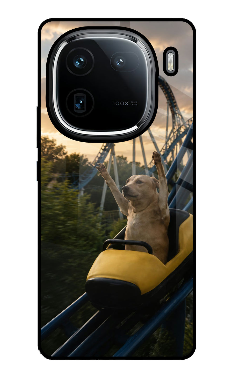 Rollercoaster Dog iQOO 12 5G Back Cover, Glass case