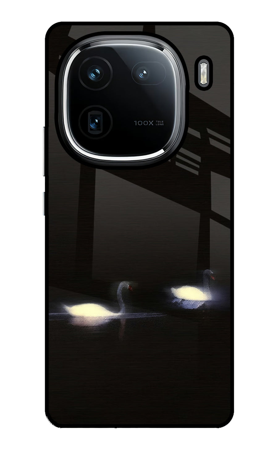 Silent Swans iQOO 12 5G Back Cover, Glass case