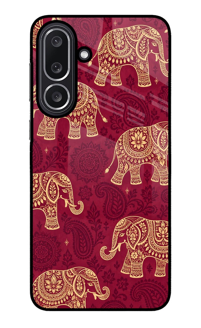 Maroon Elephant Samsung M36 5G Glass Case