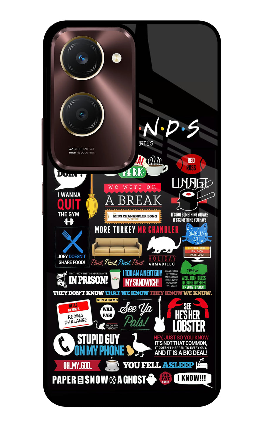 FRIENDS Vivo Y28e 5G Back Cover, Glass case