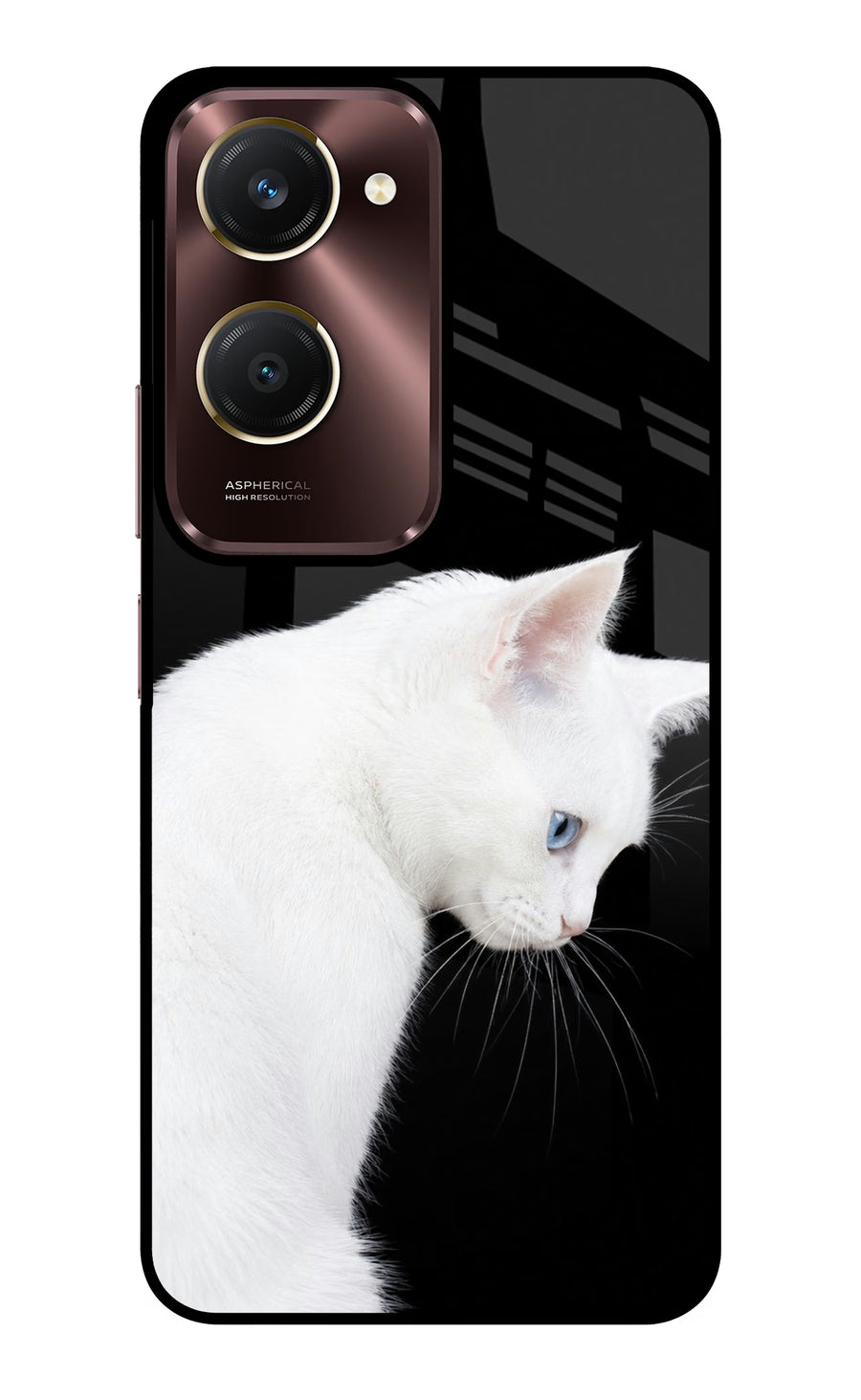 Snow Gaze Vivo Y28e 5G Back Cover, Glass case