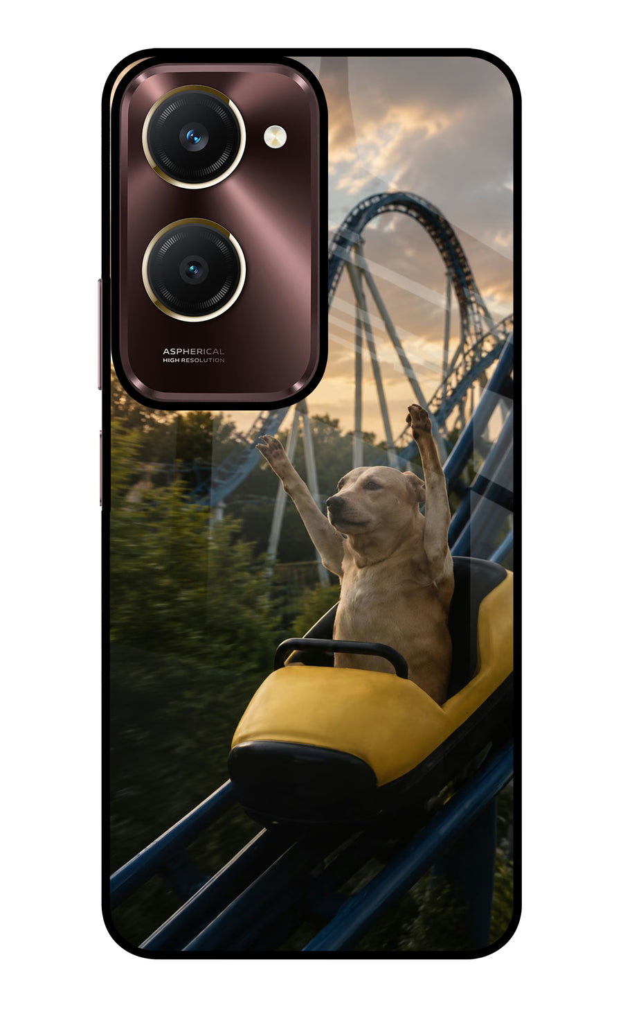 Rollercoaster Dog Vivo Y28e 5G Back Cover, Glass case