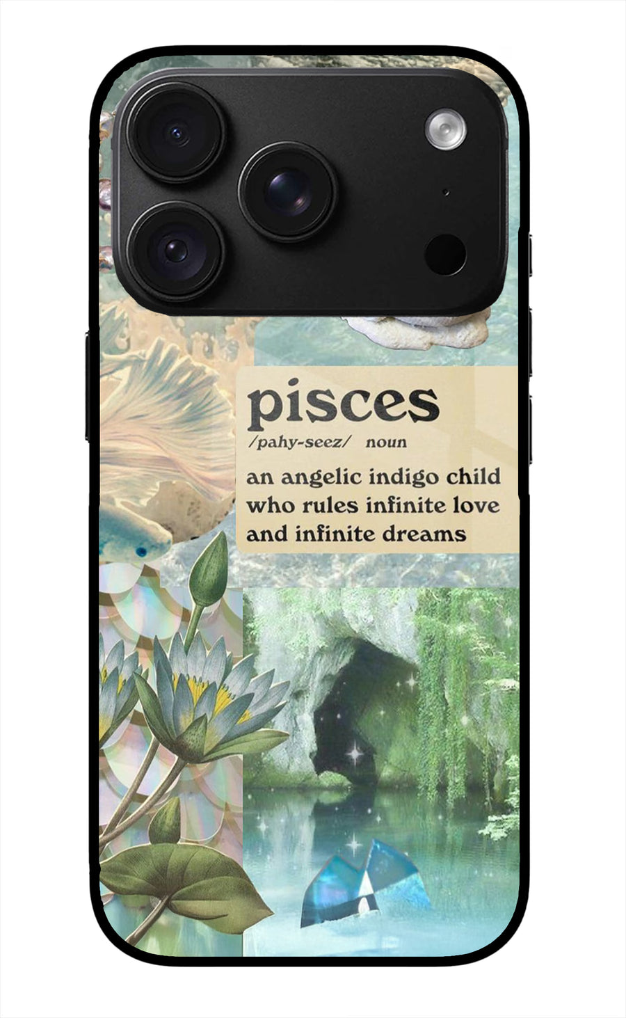 Pisces Zodiac iPhone 18 Pro Back Cover, Glass case