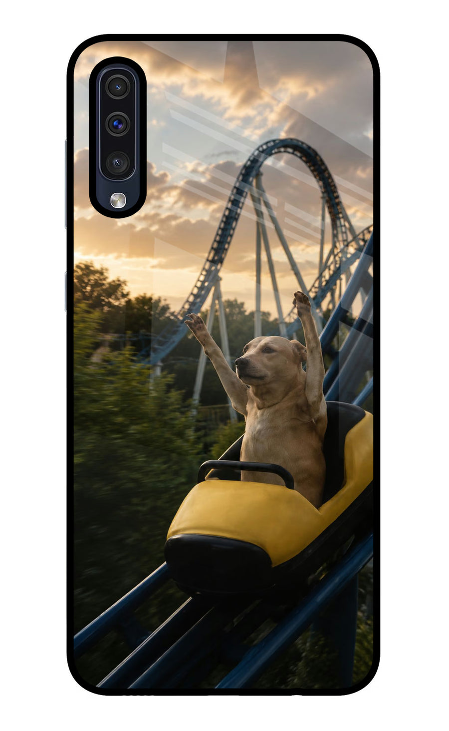 Rollercoaster Dog Samsung A50/A50s/A30s Back Cover, Metal case