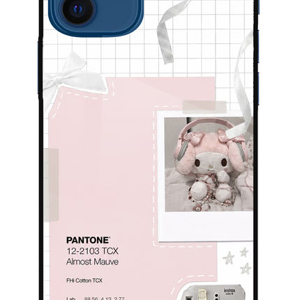 Pantone Asthetic iPhone 12 Metal Case Back Cover by Casekaro