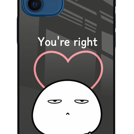 You're Right iPhone 12 Metal Case Back Cover by Casekaro