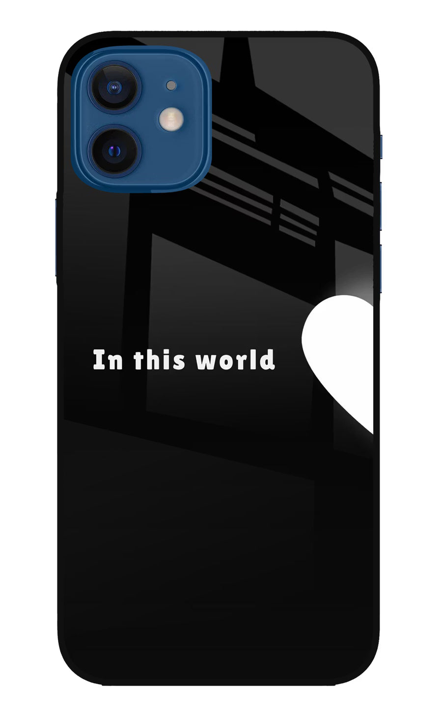 This World iPhone 12 Back Cover, Metal case