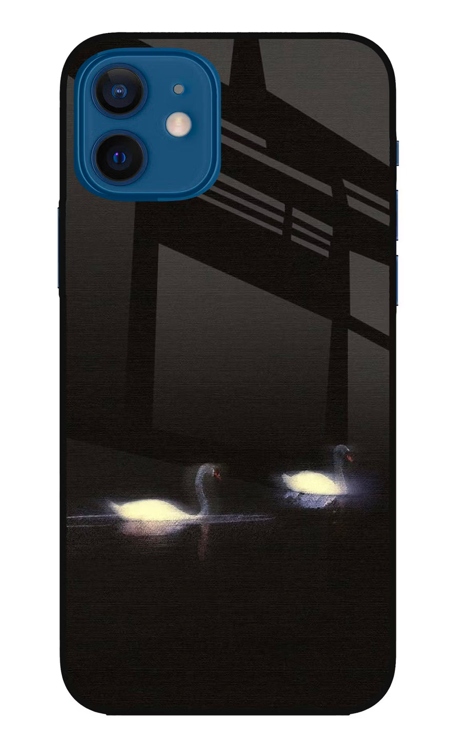 Silent Swans iPhone 12 Back Cover, Metal case
