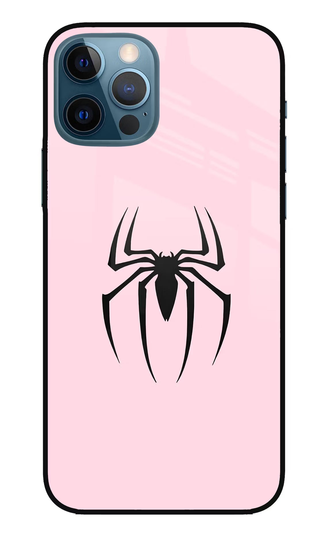 Peter Symbol iPhone 12 Pro Metal Case Back Cover by Casekaro
