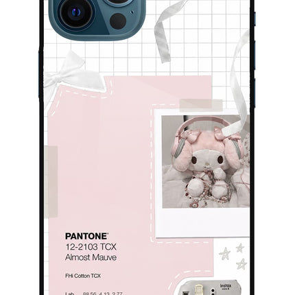 Pantone Asthetic iPhone 12 Pro Max Metal Case Back Cover by Casekaro