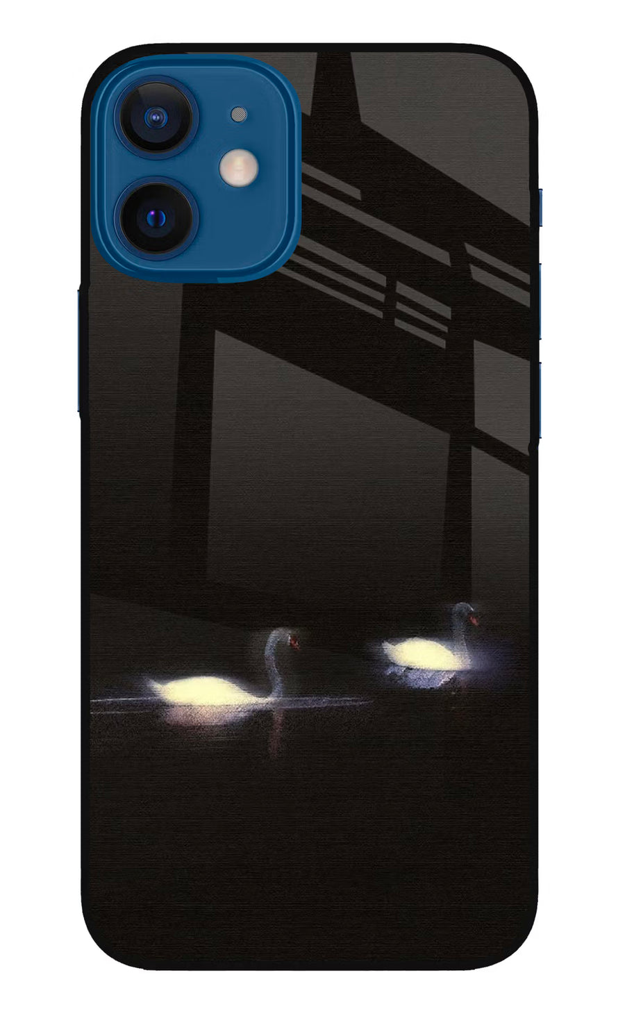Silent Swans iPhone 12 Mini Back Cover, Metal case