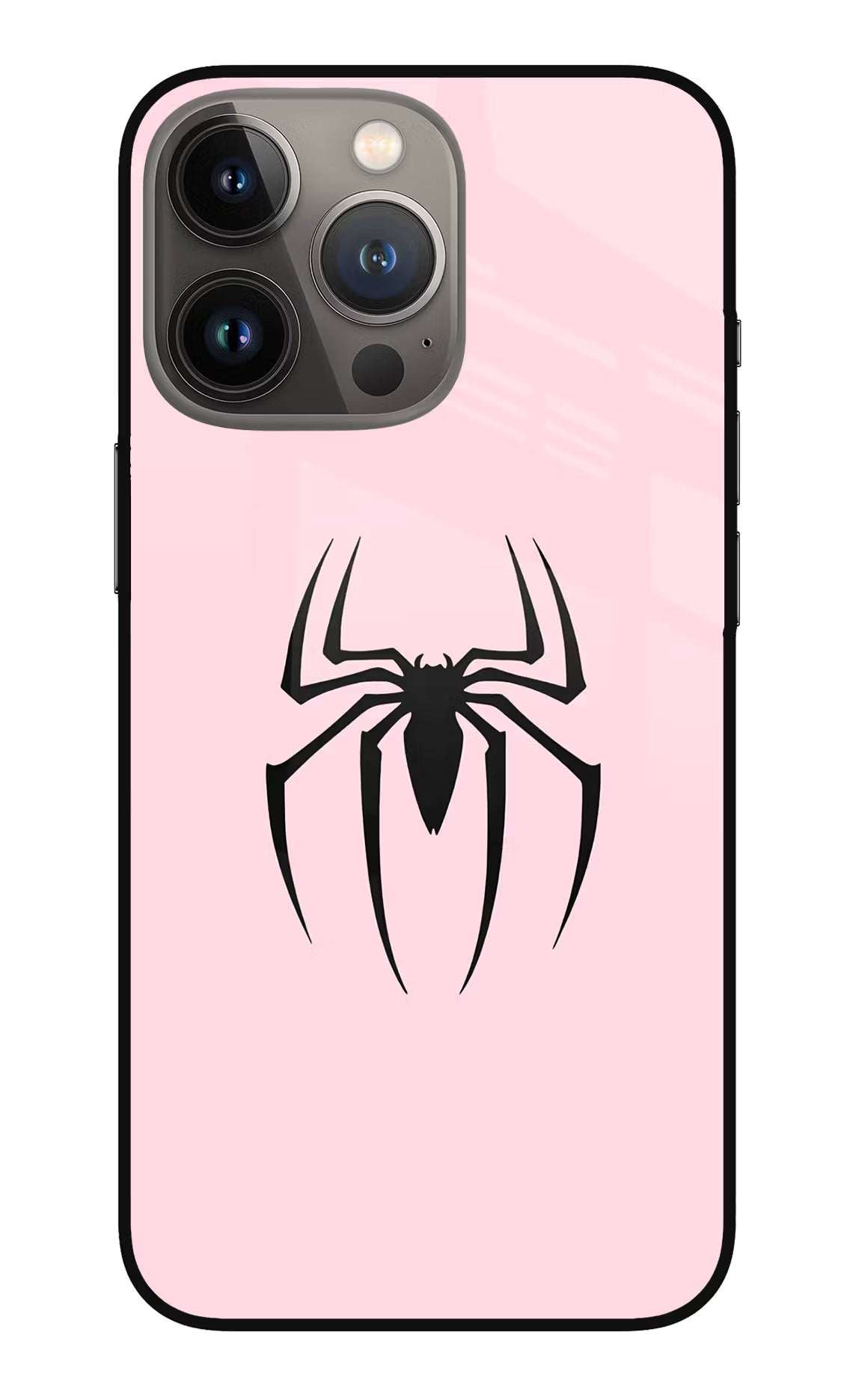 Peter Symbol iPhone 13 Pro Metal Case Back Cover by Casekaro
