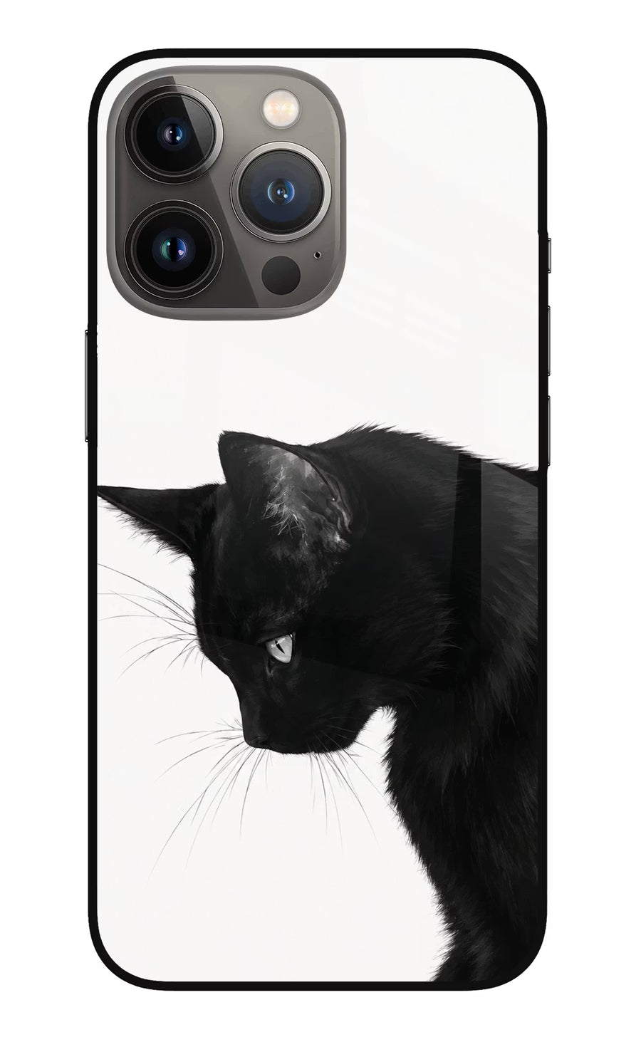 Shadow Gaze iPhone 13 Pro Max Back Cover, Metal case