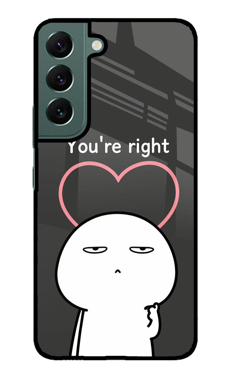 You're Right Samsung S22 Plus Back Cover, Metal case