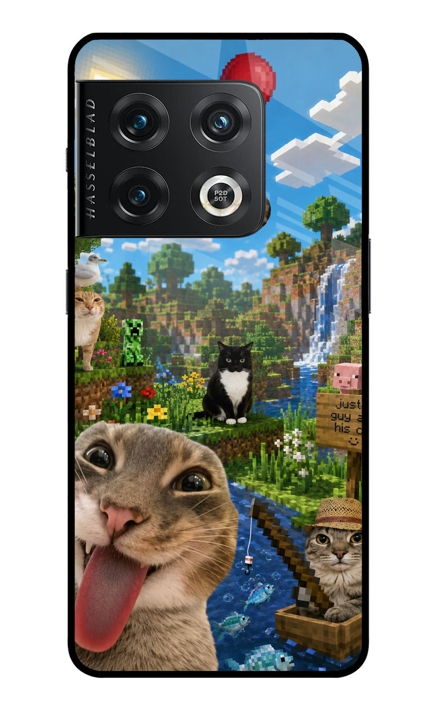 Minecraft Cat Chaos OnePlus 10 Pro 5G Back Cover, Metal case