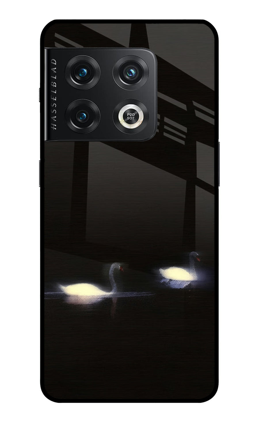 Silent Swans OnePlus 10 Pro 5G Back Cover, Metal case