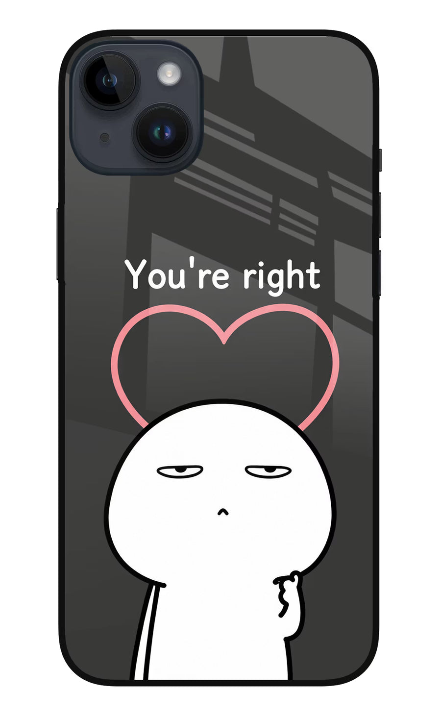 You're Right iPhone 14 Plus Back Cover, Metal case